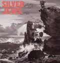 Silver Jews: Lookout Mountain, Lookout Sea ( LP )