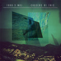 Toro y Moi: Causers of This ( LP )