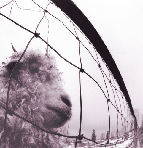 Pearl Jam: PEARL JAM / VS ( LP )