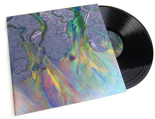 Alt-J: An Awesome Wave ( LP )