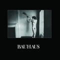 Bauhaus: In The Flat Field ( LP )