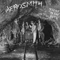 Aerosmith: Night in the Ruts ( LP )