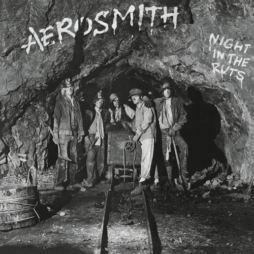 Aerosmith: Night in the Ruts ( LP )