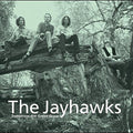 The Jayhawks: Tomorrow the Green Grass ( LP )