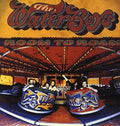 The Waterboys: Room to Roam ( LP )