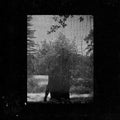 Grouper: Ruins ( LP )