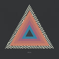 Tycho: Awake Remix ( LP )