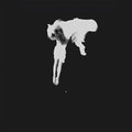 Kaleida: Tear The Roots ( LP )