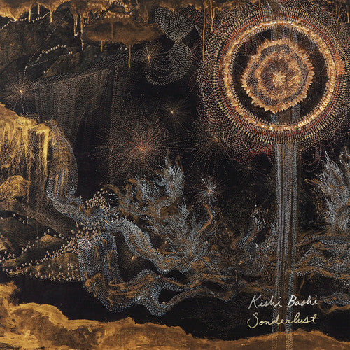 Kishi Bashi: Sonderlust ( LP )