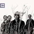 Tom Petty & Heartbreakers: Echo ( LP )