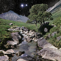 The Beta Band: The Beta Band ( LP )