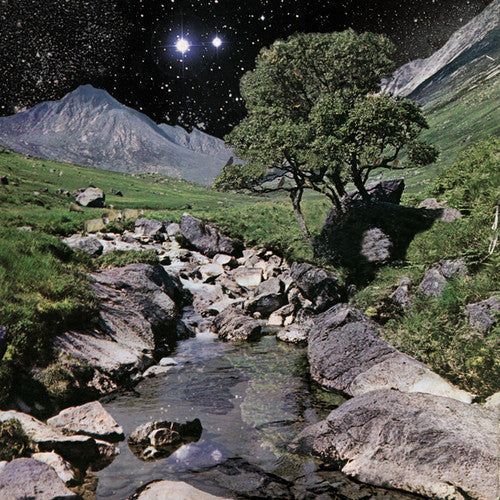 The Beta Band: The Beta Band ( LP )