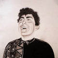 Hobo Johnson: Rise Of Hobo Johnson ( LP )