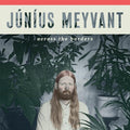 Junius Meyvant: Across The Borders ( LP )