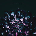 The Contortionist: Our Bones ( LP )