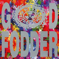 Ned's Atomic Dustbin: God Fodder ( LP )