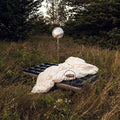 Hippo Campus: Warm Glow ( LP )