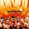 Rammstein: Herzeleid ( LP )