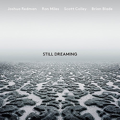 Joshua Redman: Still Dreaming ( LP )