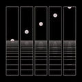 Circles Around the Sun: Let It Wander ( LP )