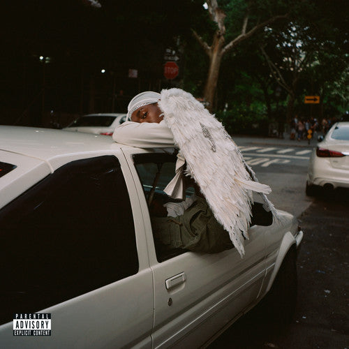 Blood Orange: Negro Swan ( LP )