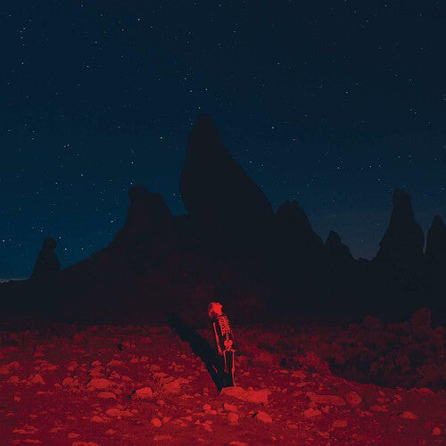 Phoebe Bridgers: Punisher ( LP )
