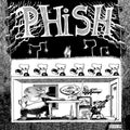 Phish: Junta ( LP )