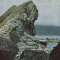 Motorama: Many Nights ( LP )