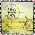 Robert Earl Keen: Bigger Piece Of Sky ( LP )