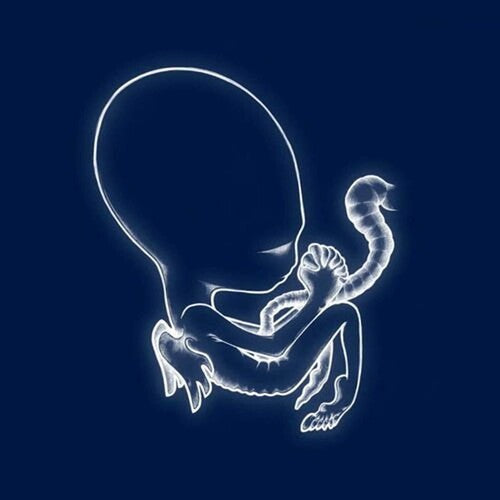 Sigur Ros: Agaetis Byrjun ( LP )