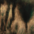 William Basinski: Lamentations ( LP )