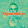 Ashton Irwin: Superbloom ( LP )