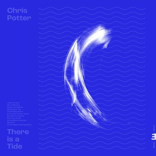 Potter, Chris: There Is A Tide ( LP )