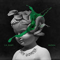 Lil Baby / Gunna: Drip Harder ( LP )