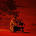 Lewis Capaldi: Divinely Uninspired To A Hellish Extent ( LP )