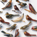 Kishi Bashi: Omoiyari ( LP )