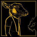 Shakey Graves: Roll The Bones X (Gold & Black Vinyl) ( LP )