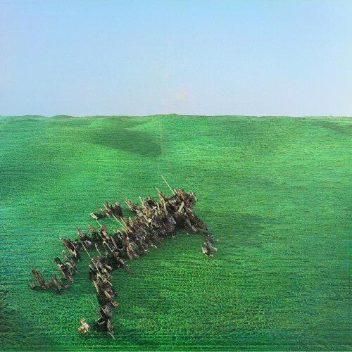 Squid: Bright Green Field ( LP )