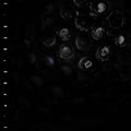 Crumb: Ice Melt ( LP )