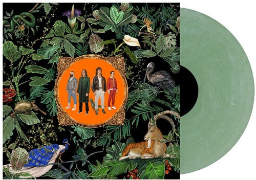 Don Broco: Amazing Things - Green Marble ( LP )