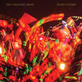 Trey Anastasio: Burn It Down (Live) ( LP )