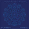 And You Will Know Us by the Trail of Dead: Xi: Bleed Here Now ( LP )