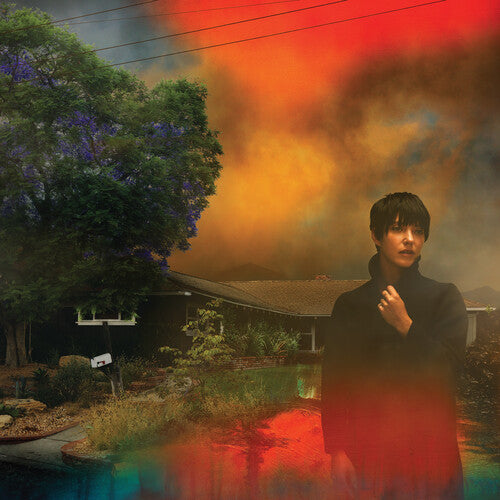 Sharon Van Etten: We've Been Going About This All Wrong - Custard ( LP )