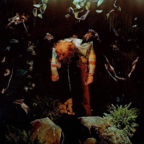 Cavetown: Worm Food ( LP )
