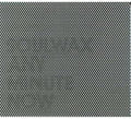 Soulwax: Any Minute Now ( LP )