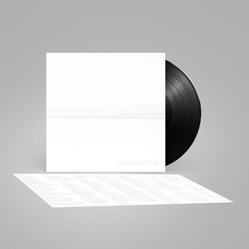 Foo Fighters: But Here We Are (Black Vinyl) ( LP )