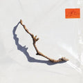 PJ Harvey: I Inside The Old Year Dying ( LP )