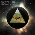 Gov't Mule: Dark Side Of The Mule ( LP )