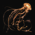 Royal Blood: Back To The Water Below ( LP )