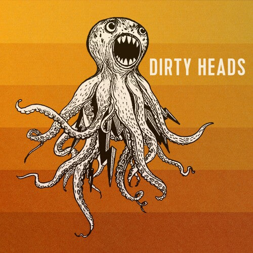 Dirty Heads: Dirty Heads ( LP )